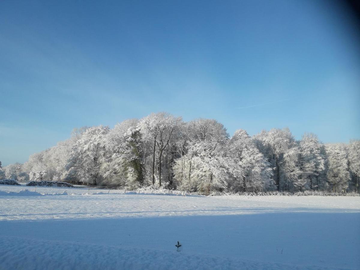 Le Clos Fleuri Sautin Esterno foto